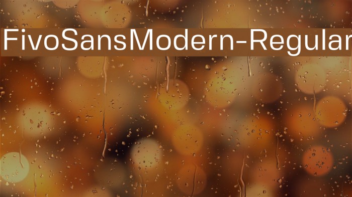 FivoSansModern-Regular Font examples