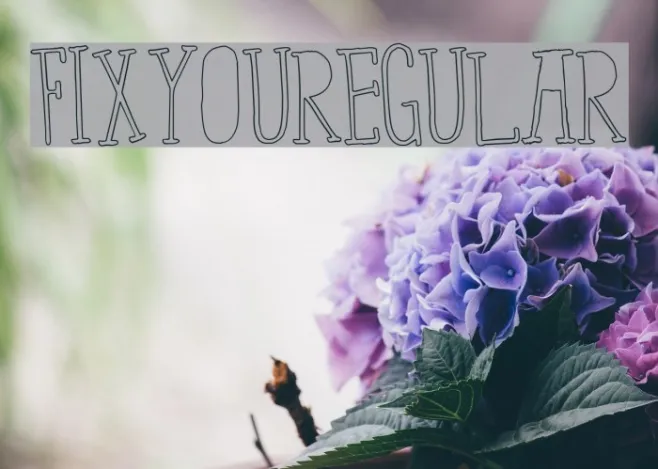 FixYou-Regular Example 1
