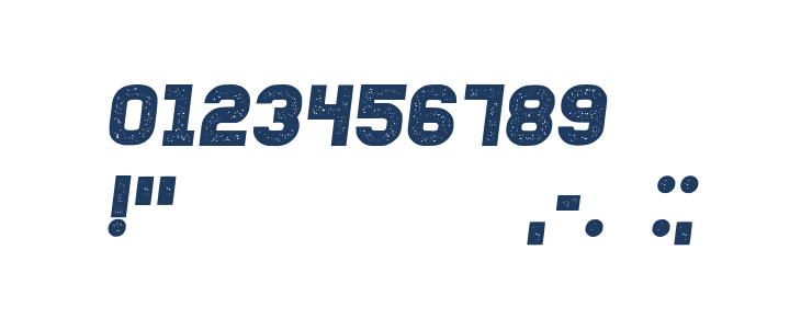 Fixation Grunged Italic Other Characters