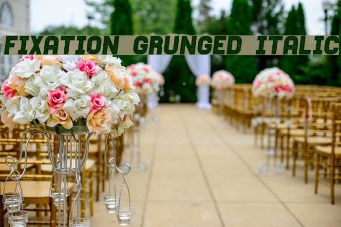 Fixation Grunged Italic Example 1