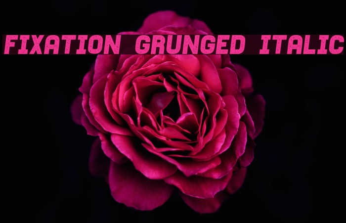 Fixation Grunged Italic Example 3