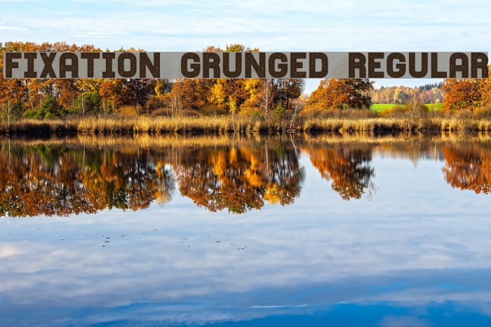 Fixation Grunged Regular Font examples