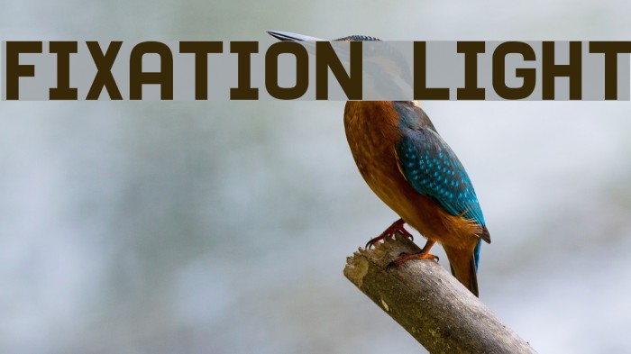 Fixation Light Font examples