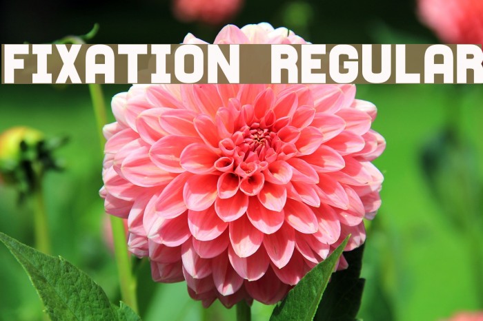 Fixation Regular Font examples
