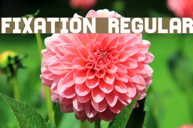 Fixation Regular Example 3