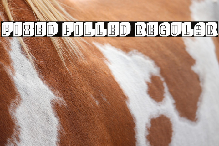 Fixed Filled Regular Example 1