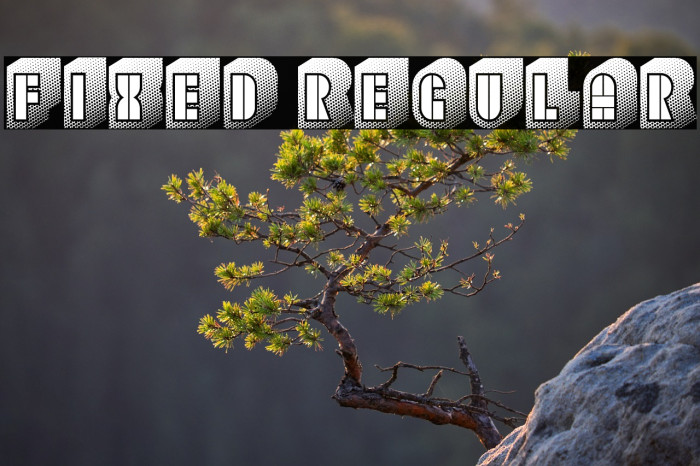 Fixed Regular Example 3