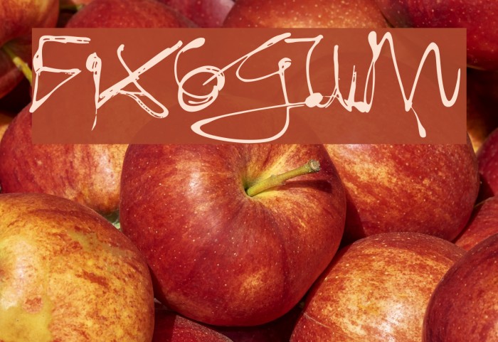 Fixogum Font examples