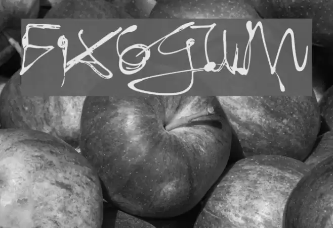 Fixogum Font examples
