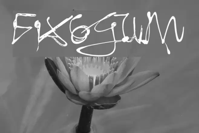 Fixogum Font examples