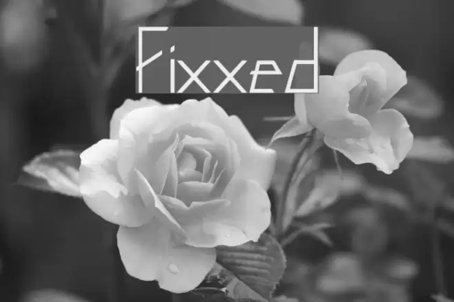 Fixxed Font examples