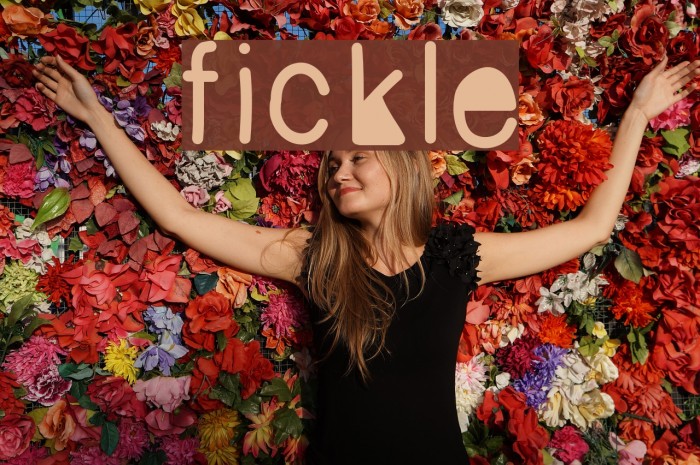 fickle Font examples
