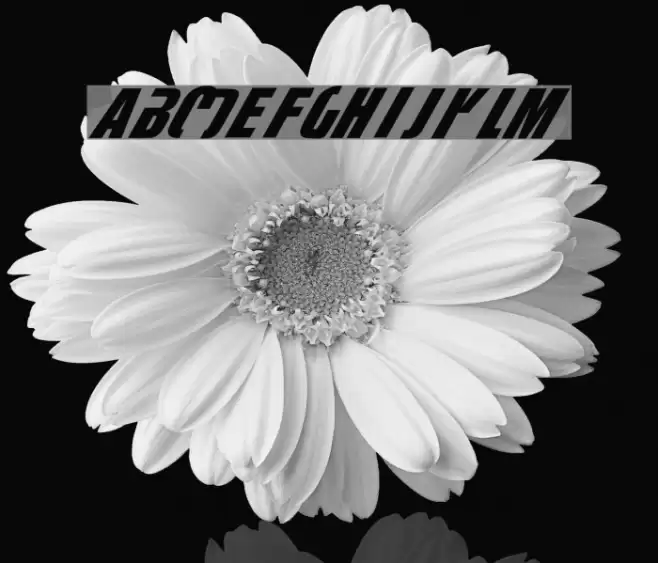 fightDurden Normal خط examples