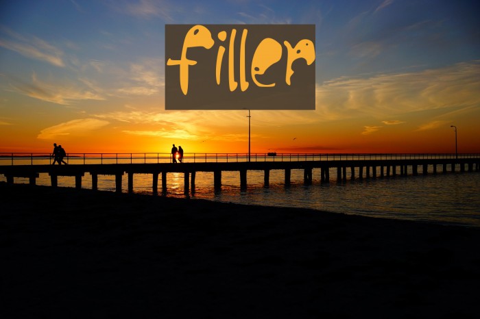 filler_ Font examples