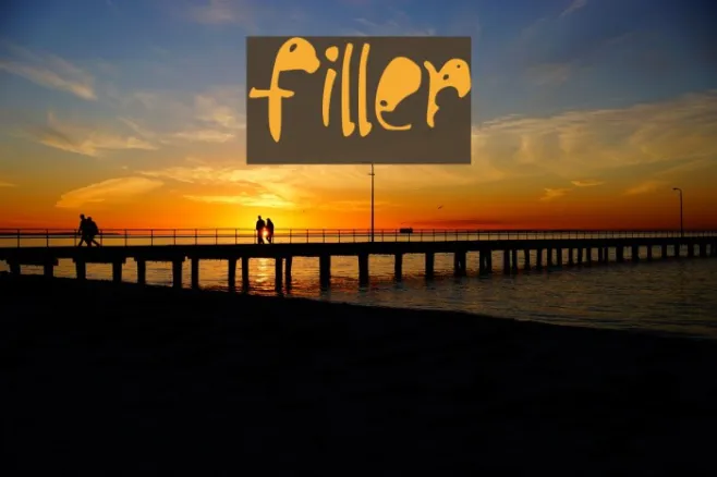 filler_ Example 1