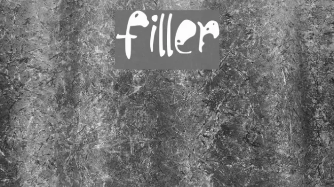 filler_ Example 2