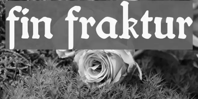 fin fraktur Font examples