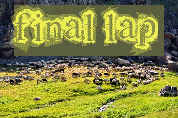 final lap Font examples
