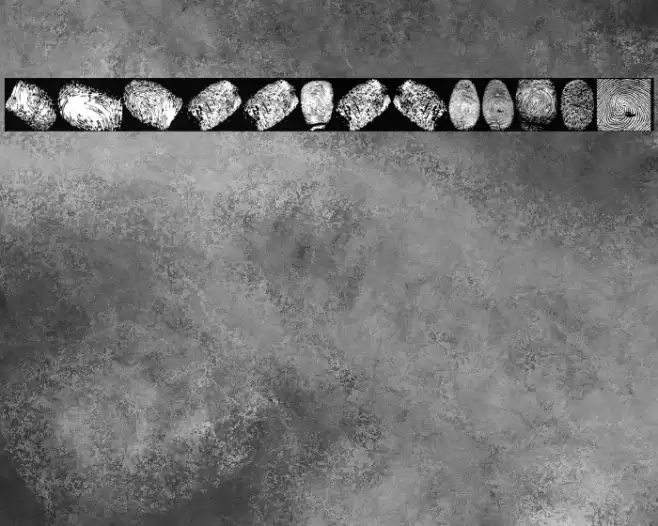 finger print tfb Caratteri examples