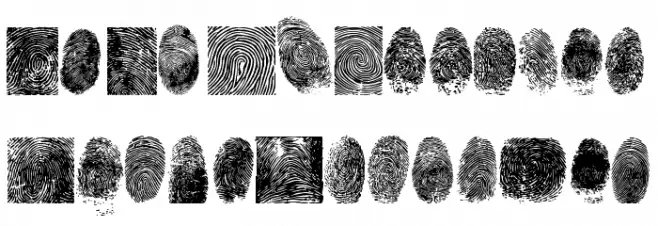 finger print tfb Caratteri MINUSCOLO
