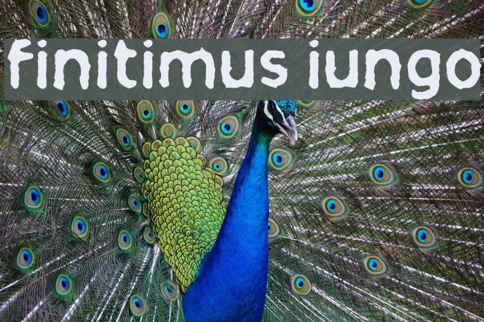 finitimus iungo Font examples