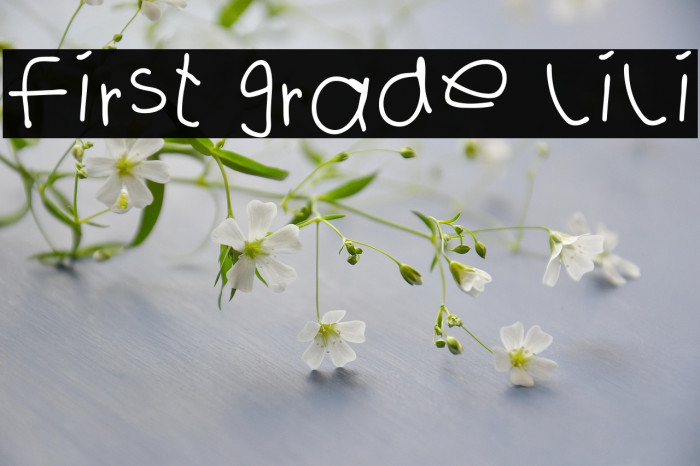 first grade lili Example 2