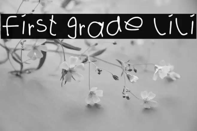 first grade lili Caratteri examples