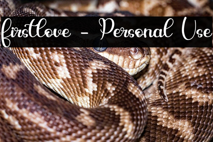 firstlove - Personal Use Example 2