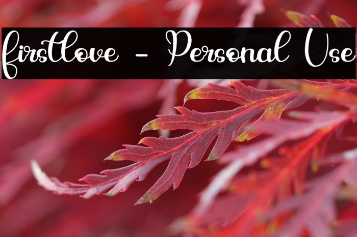 firstlove - Personal Use Example 3