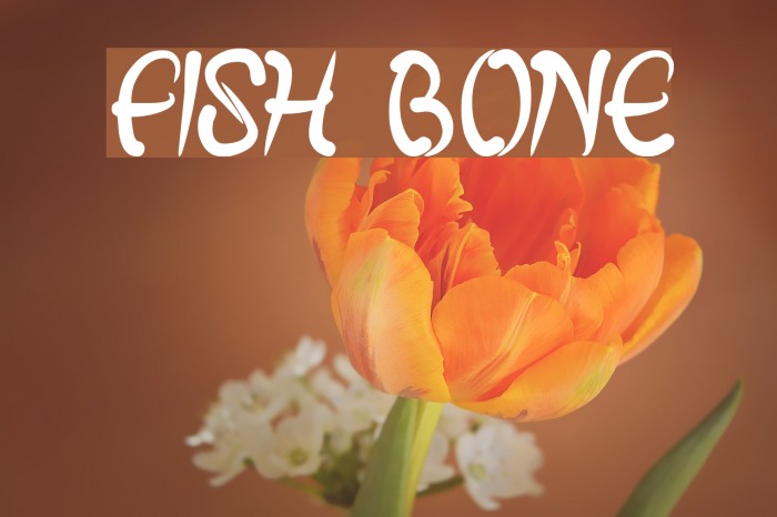 fish bone Font examples