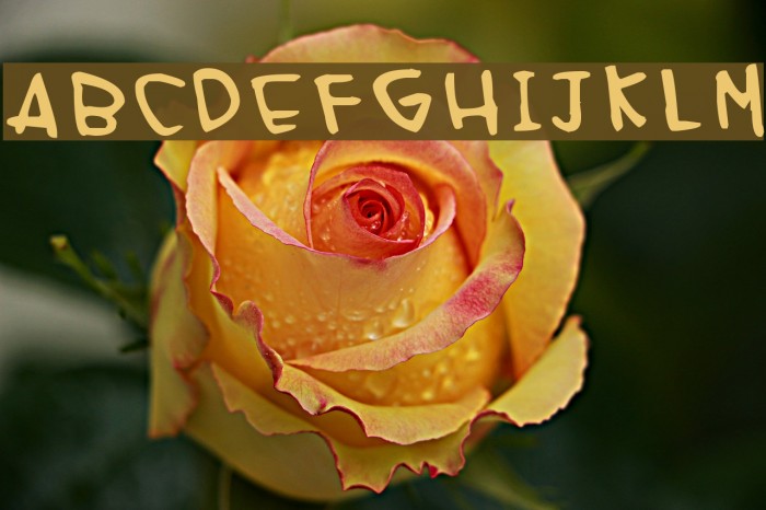 fisrtt Font examples