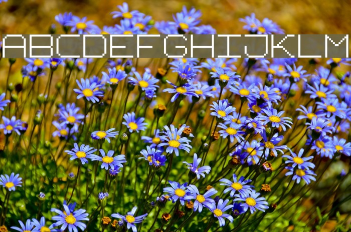 fixed_v02 Font examples