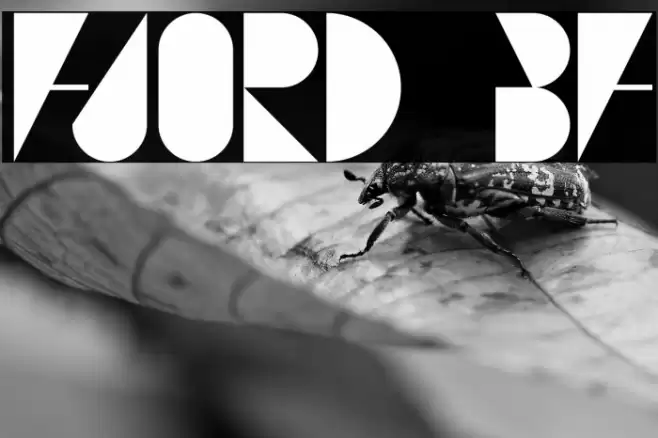 FJORD BF Font examples