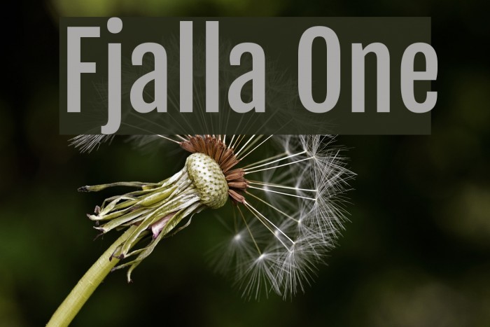 Fjalla One Font examples