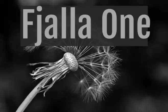 Fjalla One Font examples