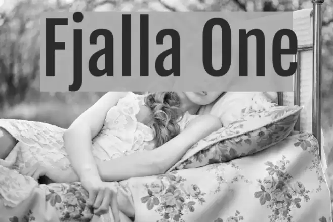 Fjalla One Font examples