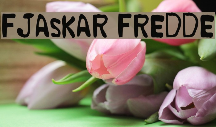 Fjaskar Fredde Schriftart examples