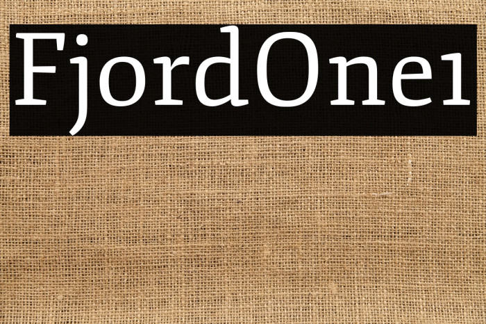 Fjord-One1 Example 1