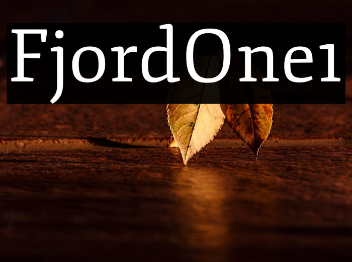 Fjord-One1 Example 2