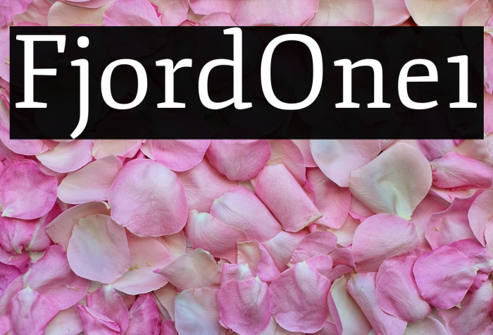 Fjord-One1 Example 3