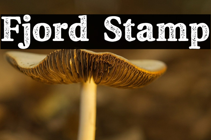 Fjord Stamp Example 3