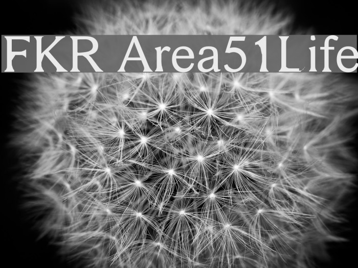 FKR Area51Life Schriftart examples
