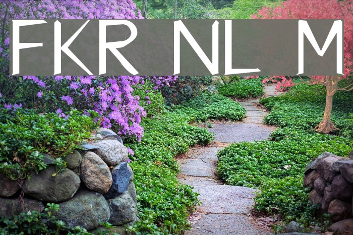 FKR NiceLife Medium Font examples