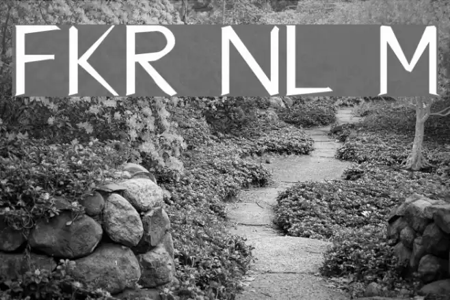 FKR NiceLife Medium Polices examples