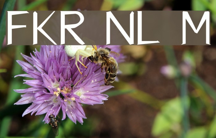 FKR NiceLife Medium Font examples