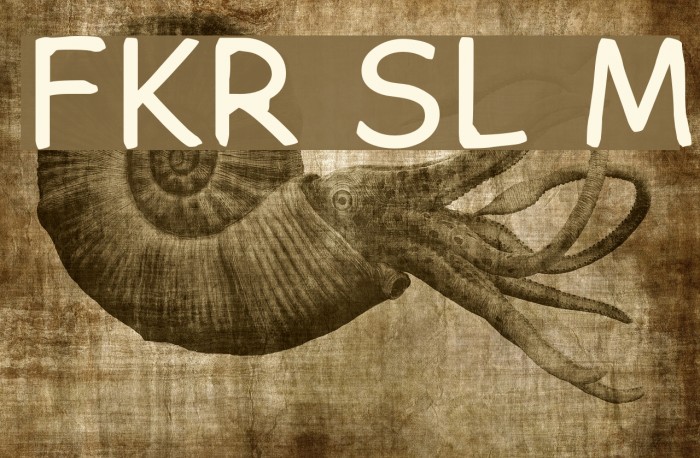 FKR SlurrLife Medium Font examples