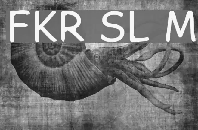 FKR SlurrLife Medium Font examples