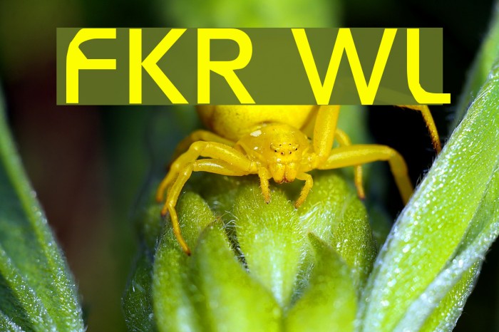 FKR WifeLife फ़ॉन्ट examples