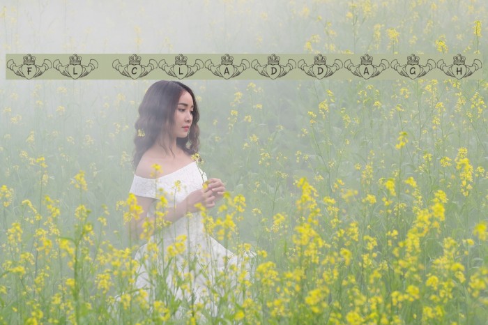 FL Claddagh Example 3