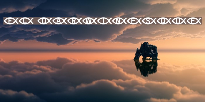 FL Darwinesque Example 1